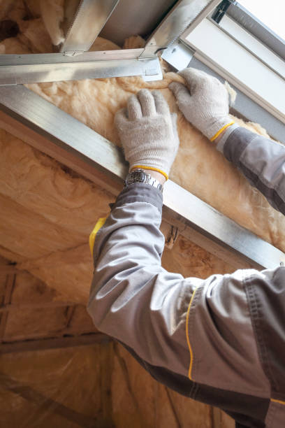 Best Geographic-Specific Insulation Services in Wrightwood, CA