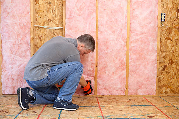Best Cellulose Insulation in Wrightwood, CA